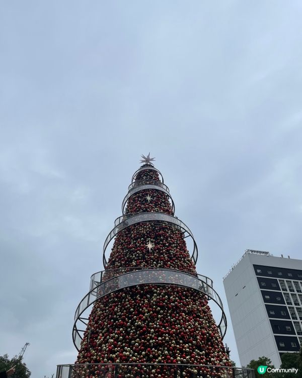 香港聖誕隨心遊（三）🎄