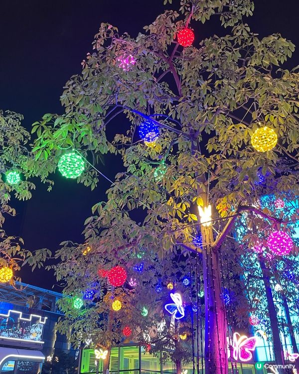 聖誕快閃琛圳灣夜遊記