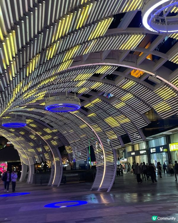 聖誕快閃琛圳灣夜遊記