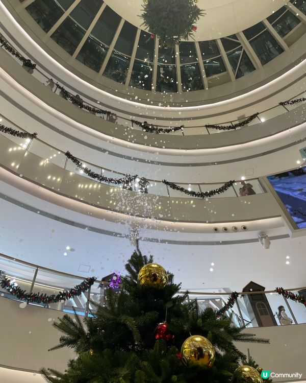 聖誕快閃琛圳灣夜遊記