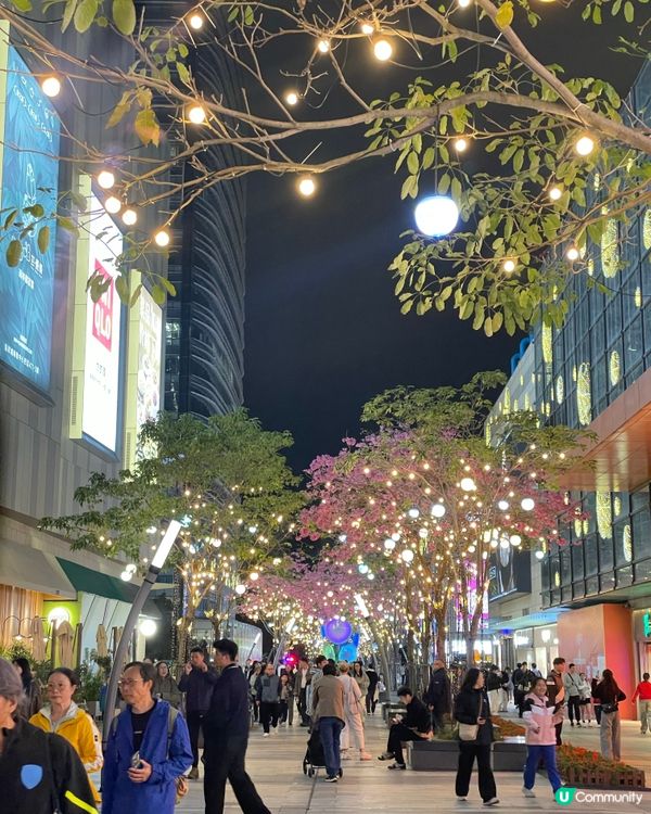 聖誕快閃琛圳灣夜遊記