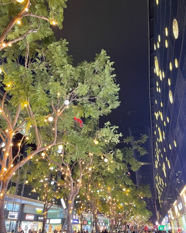 聖誕快閃琛圳灣夜遊記