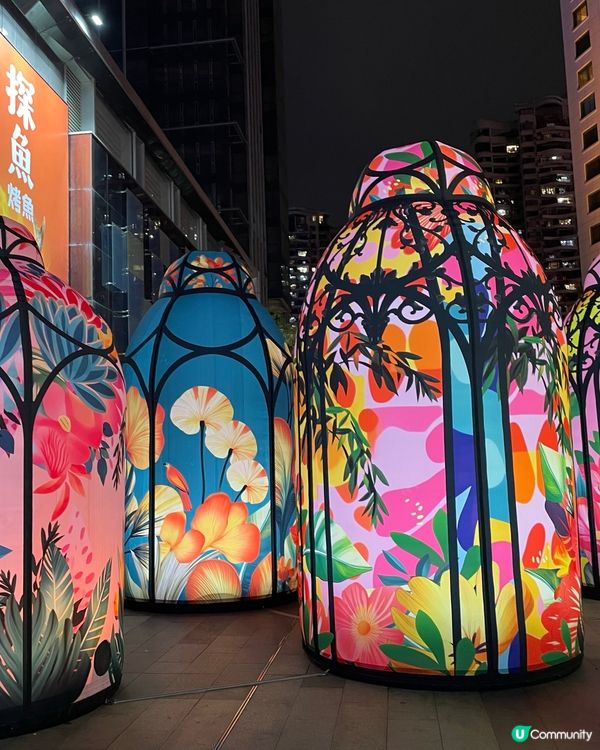 聖誕快閃琛圳灣夜遊記