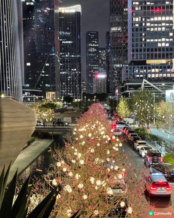 聖誕快閃琛圳灣夜遊記