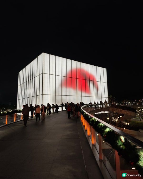 聖誕快閃琛圳灣夜遊記