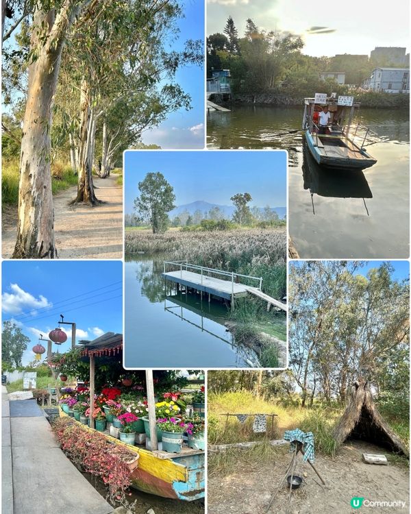 親子郊遊｜南生圍