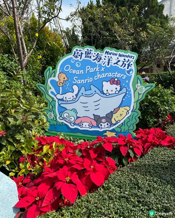 海洋公園破天荒聯盛合作！🌊玩到癲咗！🥳