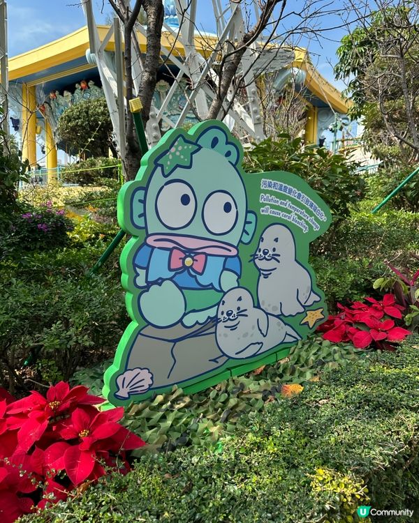 海洋公園破天荒聯盛合作！🌊玩到癲咗！🥳