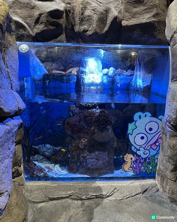 海洋公園破天荒聯盛合作！🌊玩到癲咗！🥳