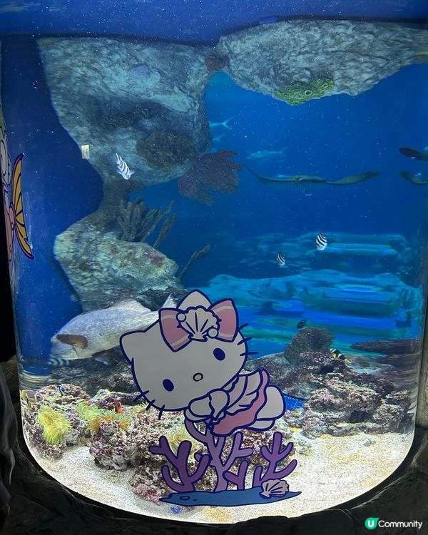 海洋公園破天荒聯盛合作！🌊玩到癲咗！🥳