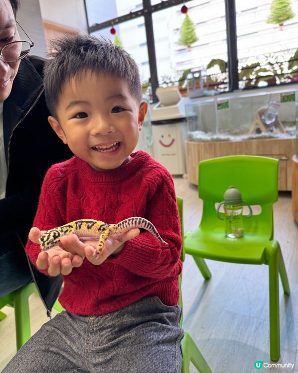 #動物奇遇記🪱🐞🪰🪲🕷️🦂🐍🦎