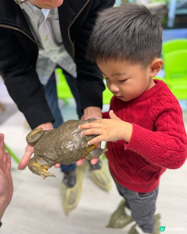 #動物奇遇記🪱🐞🪰🪲🕷️🦂🐍🦎