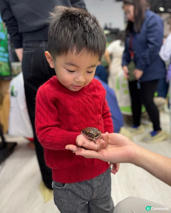 #動物奇遇記🪱🐞🪰🪲🕷️🦂🐍🦎