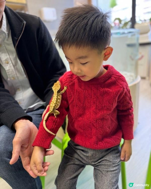 #動物奇遇記🪱🐞🪰🪲🕷️🦂🐍🦎