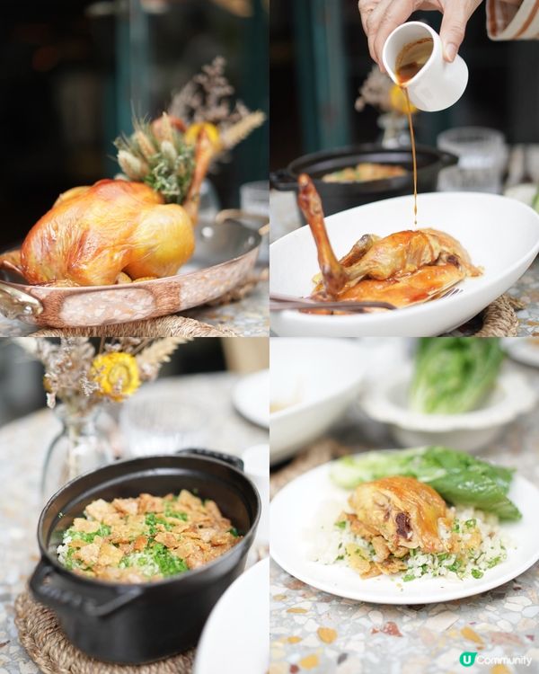 毛孩摘星之旅🐶🌟 全港最好食嘅雞