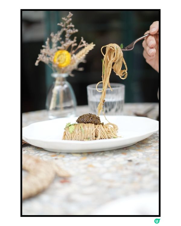 毛孩摘星之旅🐶🌟 全港最好食嘅雞