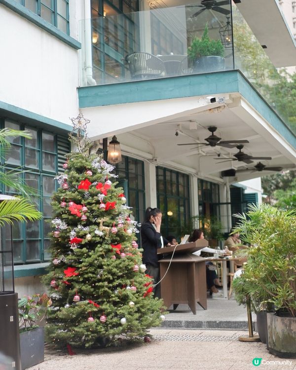 毛孩摘星之旅🐶🌟 全港最好食嘅雞