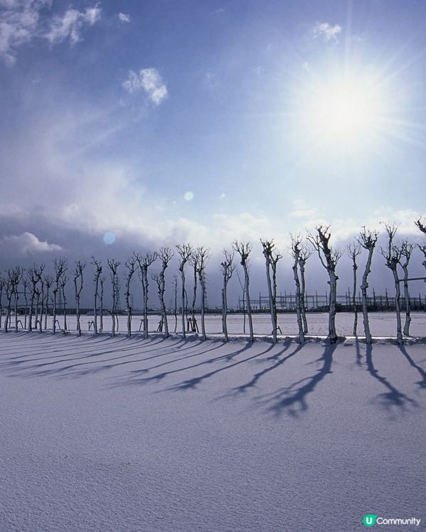 新潟雪景❄️稻架木の冬日系美景📸！