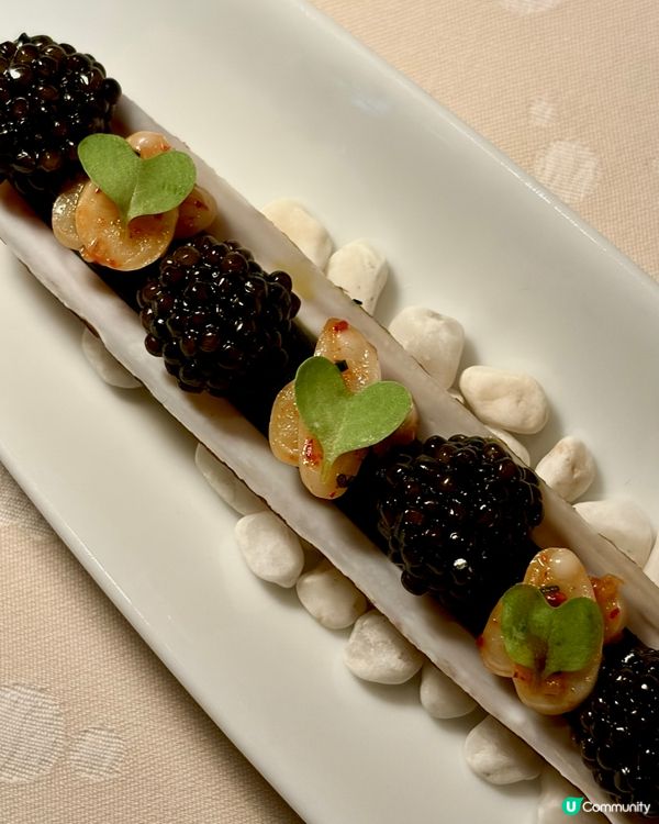 法國菜米芝蓮二星體驗🇫🇷聽唔明都好食😋