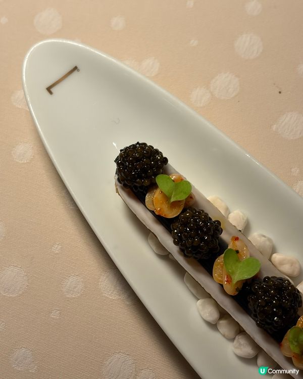 法國菜米芝蓮二星體驗🇫🇷聽唔明都好食😋