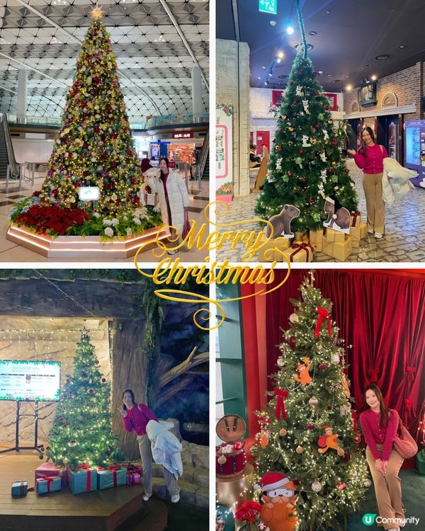 韓國聖誕樹🎄影相攻略！聖水洞必去📸！