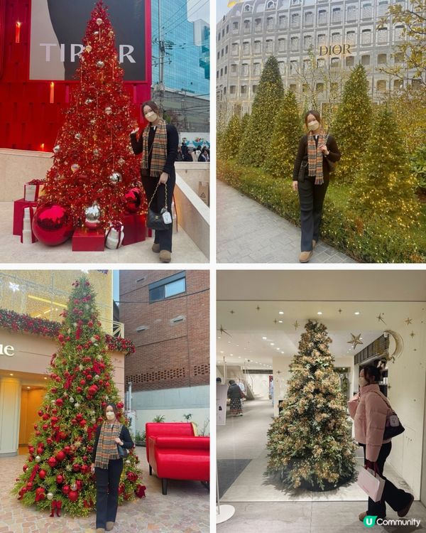 韓國聖誕樹🎄影相攻略！聖水洞必去📸！