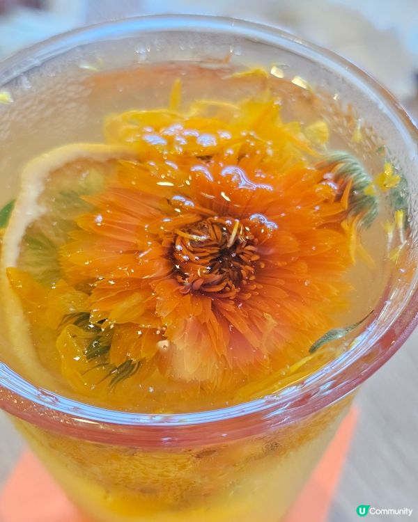 #能止韓瘋的美味一餐