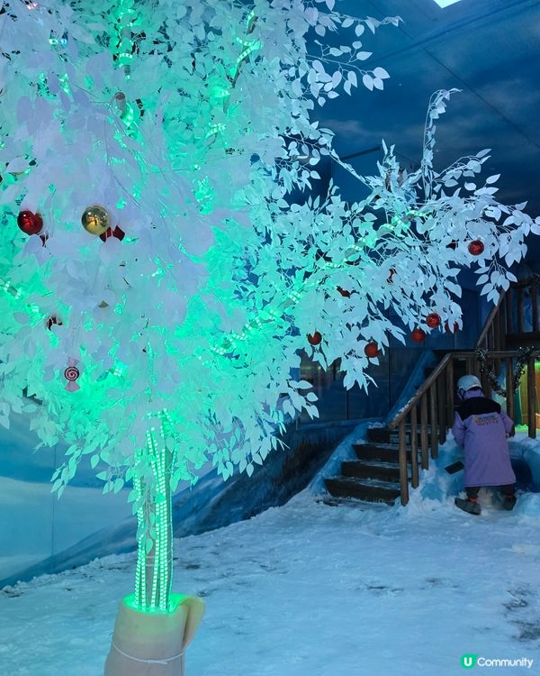 極地體驗 ❄️ 灣仔竟然有雪玩？阿仔玩到唔想走！