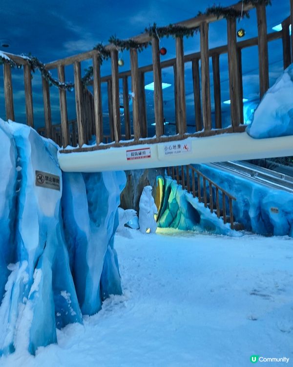 極地體驗 ❄️ 灣仔竟然有雪玩？阿仔玩到唔想走！