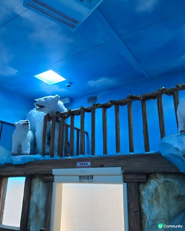 極地體驗 ❄️ 灣仔竟然有雪玩？阿仔玩到唔想走！