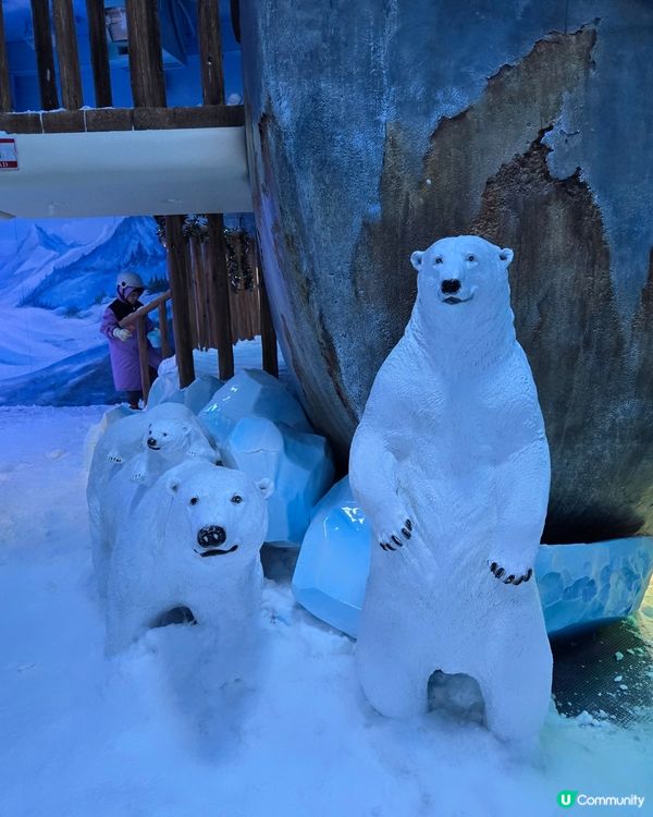 極地體驗 ❄️ 灣仔竟然有雪玩？阿仔玩到唔想走！