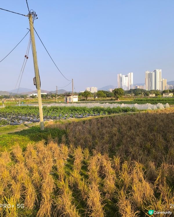 塱原自然生態公園