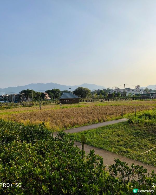 塱原自然生態公園