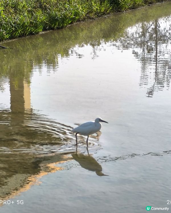 塱原自然生態公園
