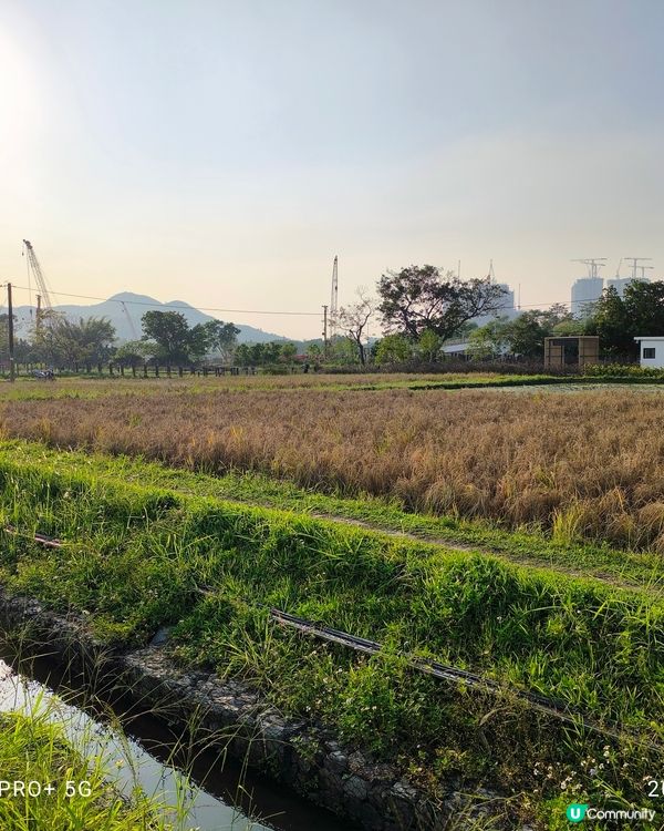 塱原自然生態公園