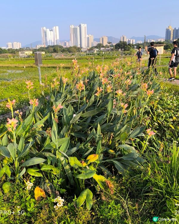 塱原自然生態公園