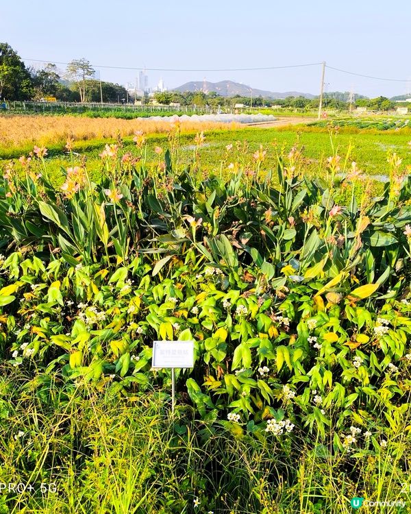 塱原自然生態公園