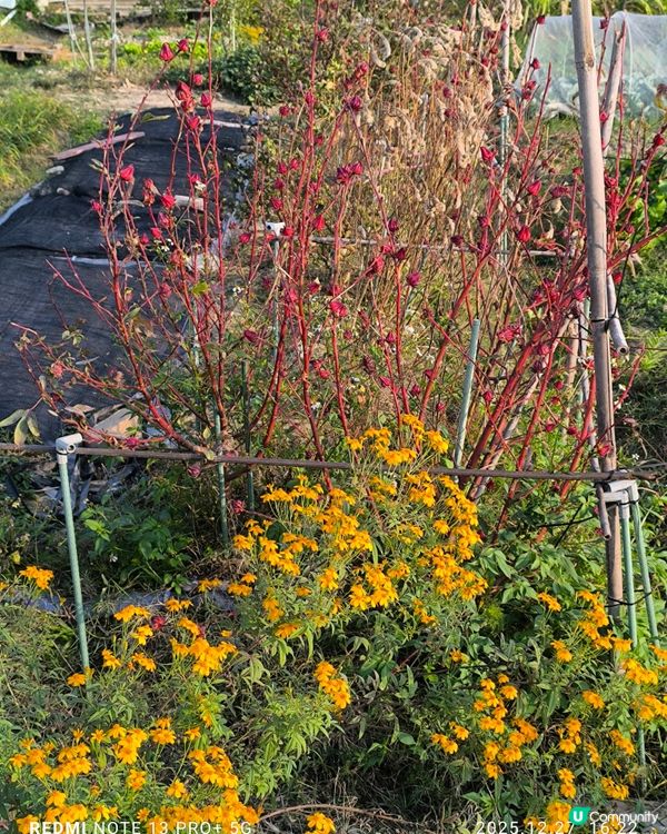 塱原自然生態公園