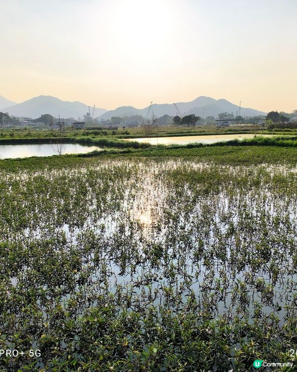 塱原自然生態公園