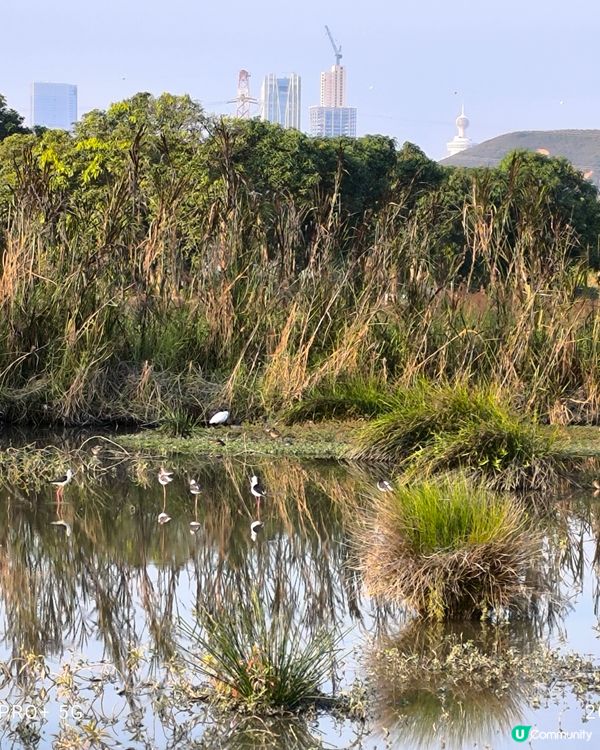 塱原自然生態公園