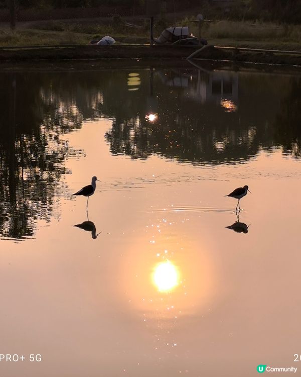 塱原自然生態公園