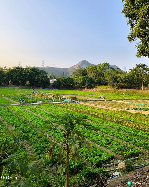 塱原自然生態公園