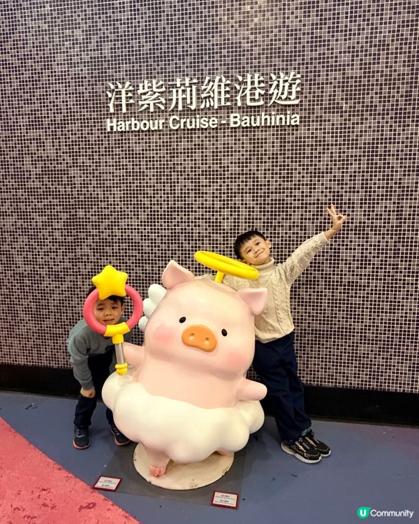 今個聖誕一齊同LuLu 豬 參加洋紫荊維港遊啦!