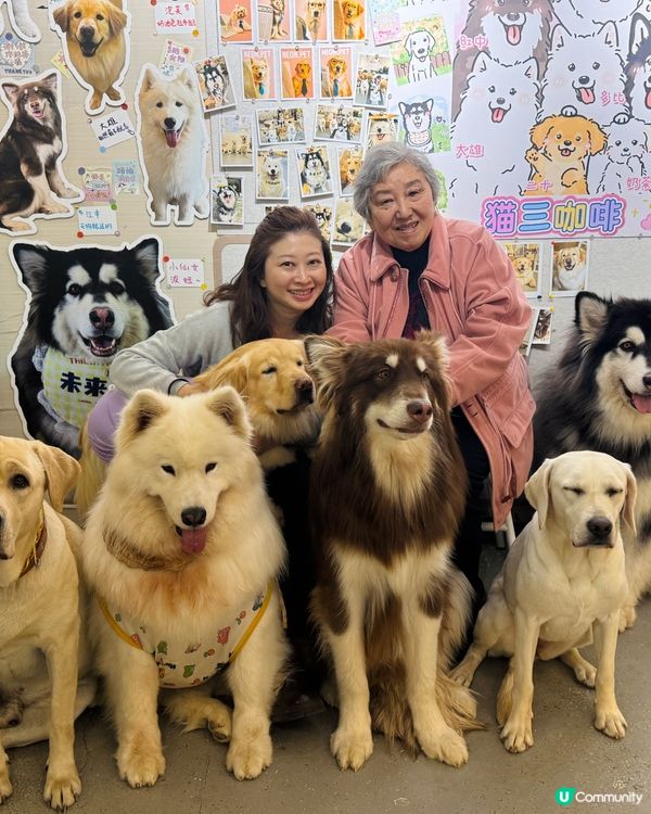 【中山遊玩系列】超大狗狗吖！