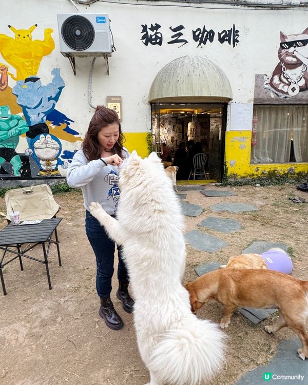 【中山遊玩系列】超大狗狗吖！