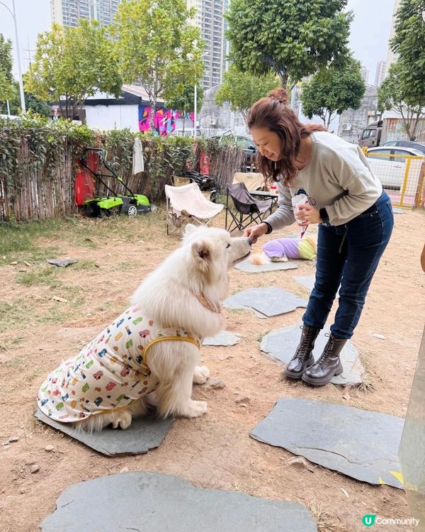 【中山遊玩系列】超大狗狗吖！