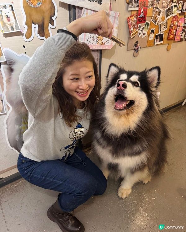 【中山遊玩系列】超大狗狗吖！