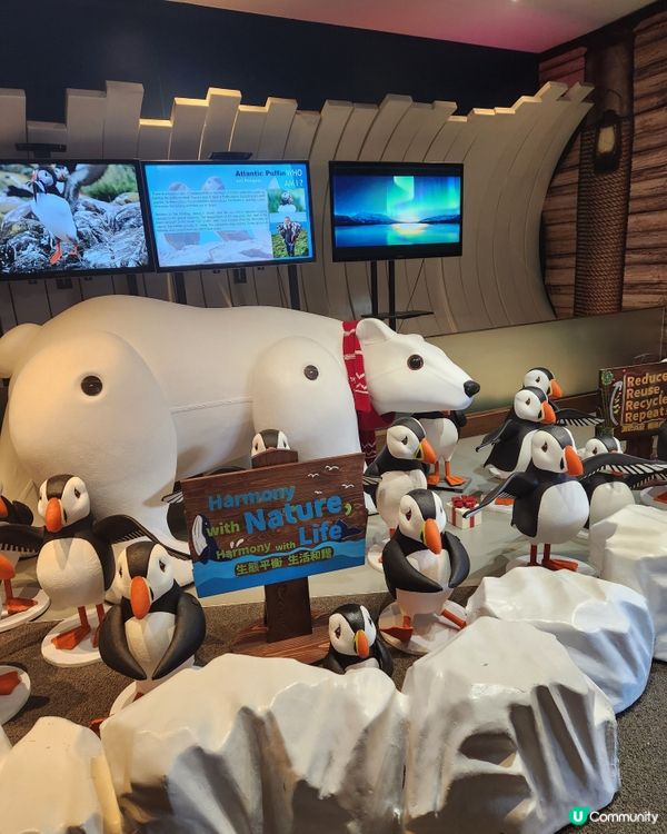 聖誕親子遊挪亞方舟！🤩 玩學兼備超開心！🥳