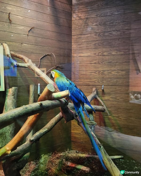 聖誕親子遊挪亞方舟！🤩 玩學兼備超開心！🥳