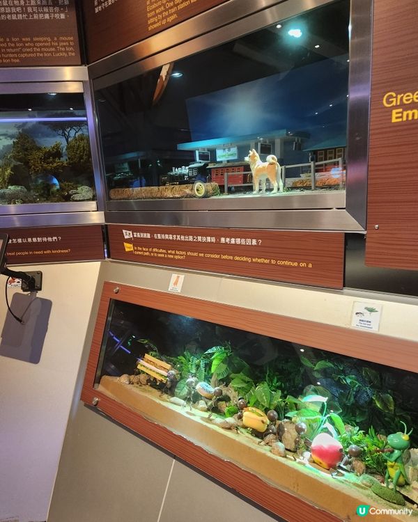 聖誕親子遊挪亞方舟！🤩 玩學兼備超開心！🥳